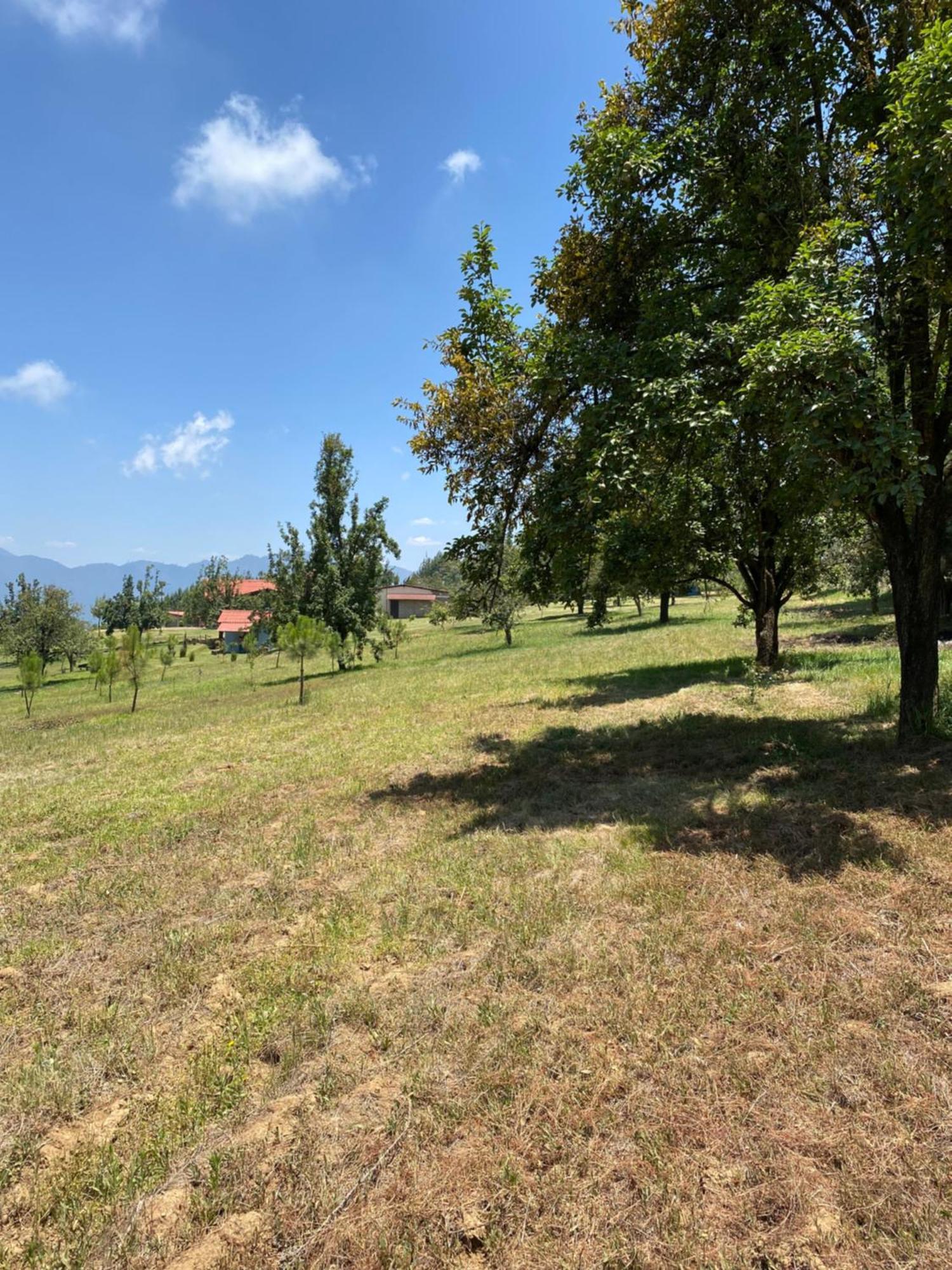 Cabanas Huerta La Mision, Zacatlán Εξωτερικό φωτογραφία